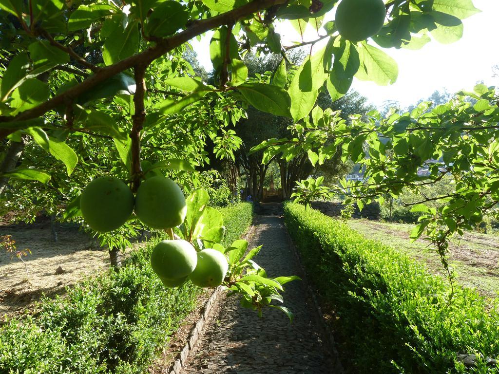 Bio Hotel - Hotel Quinta Da Serra Câmara de Lobos Kültér fotó