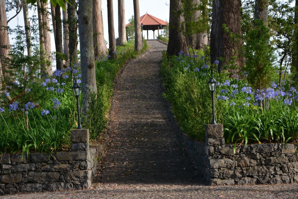 Bio Hotel - Hotel Quinta Da Serra Câmara de Lobos Kültér fotó