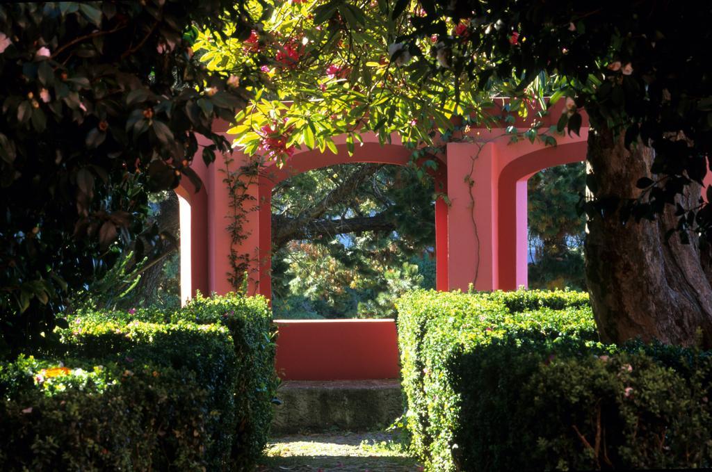Bio Hotel - Hotel Quinta Da Serra Câmara de Lobos Kültér fotó
