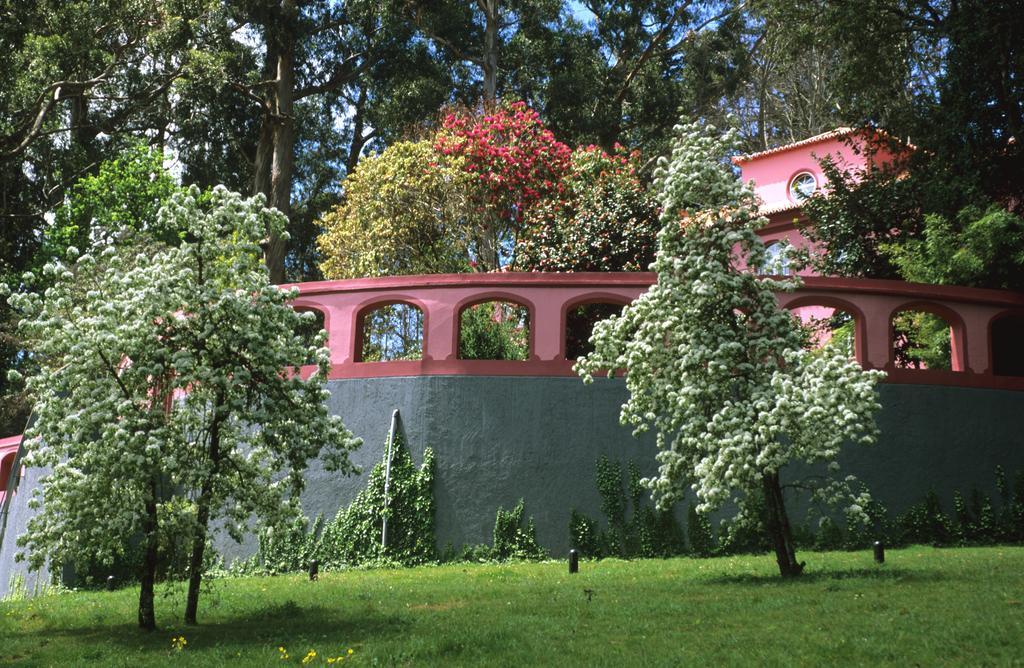 Bio Hotel - Hotel Quinta Da Serra Câmara de Lobos Kültér fotó